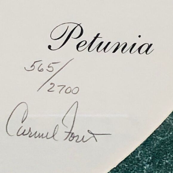 Print by Carmel Foret Petunia Orchid Botanical - Picture 4 of 9